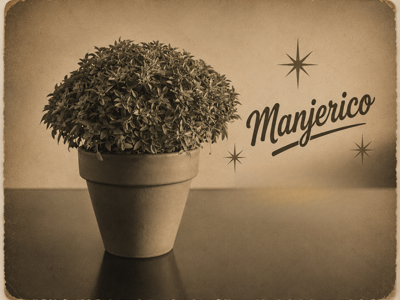 Manjerico
